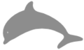 Dolphin-1-.png