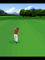 Golf Pro Contest 2 3D 3.png